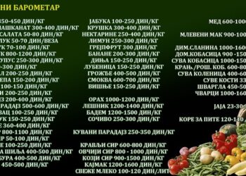 JKP Drugi oktobar: Aktuelni cenovnik sa vršačke pijace