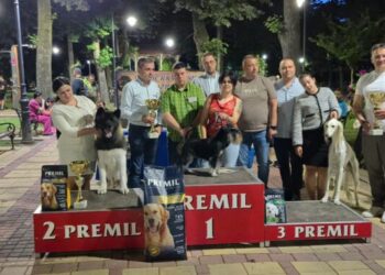 Deseta Nacionalna izložba pasa svih rasa u Beloj Crkvi (VIDEO)