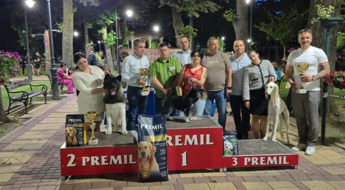 Deseta Nacionalna izložba pasa svih rasa u Beloj Crkvi (VIDEO)