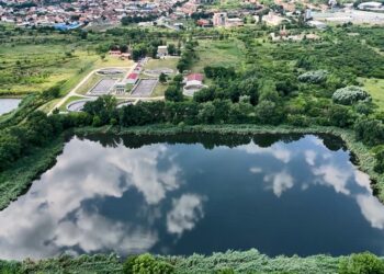 Privremeno prihvatilište za ptice i divlje životinje (VIDEO)