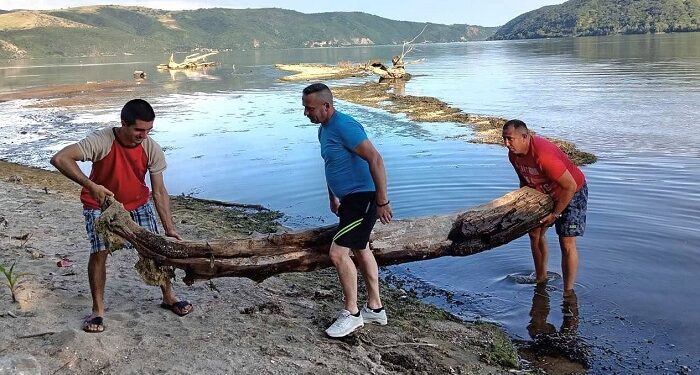 Aktivisti SNS iz Banatske Palanke čistili obalu Dunava