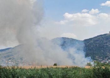 Opet gori Mali Rit: Vatra krenula iz njiva, nadležni na terenu (VIDEO)