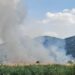 Opet gori Mali Rit: Vatra krenula iz njiva, nadležni na terenu (VIDEO)
