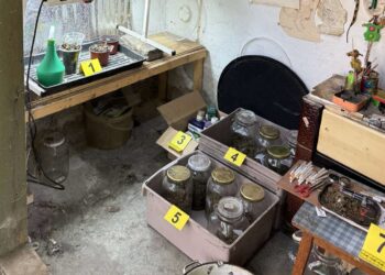Kriminalistička policija u Plandištu pronašla laboratoriju marihuane