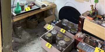 Kriminalistička policija u Plandištu pronašla laboratoriju marihuane