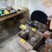 Kriminalistička policija u Plandištu pronašla laboratoriju marihuane