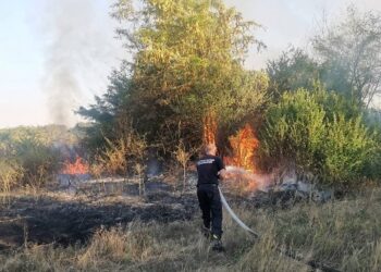 Brza reakcija vatrogasaca sprečila širenje požara u Velikoj Gredi
