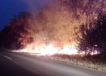 Požar i pored međunarodnog puta za Rumuniju