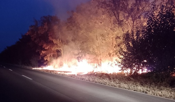 Požar i pored međunarodnog puta za Rumuniju