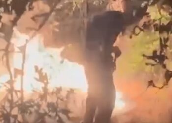 Obuzdan požar kod Vojvodinaca (VIDEO)