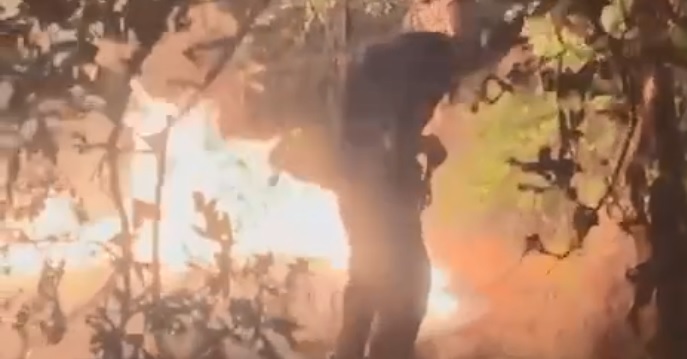 Obuzdan požar kod Vojvodinaca (VIDEO)