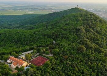 Cvetanović: Ne zatvara se Dečje odmaralište Crvenog krsta na Vršačkim planinama