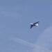 Moćni ruski IL-76TD od jutros gasi požar u Deliblatskoj peščari! (VIDEO)