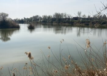 Veliki turnir u sportskom ribolovu održava se u Velikoj Gredi