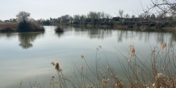 Veliki turnir u sportskom ribolovu održava se u Velikoj Gredi