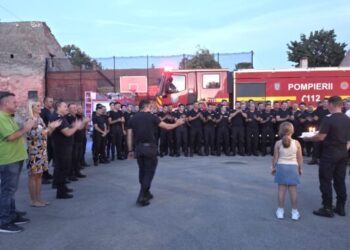 Solidarnost i prijateljstvo na delu u gašenju požara u Deliblatskoj peščari (VIDEO)