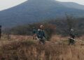JKP Drugi oktobar: Očuvanje livadskih staništa na Orlovom brdu